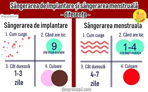 sangerarea de implantare si testul de sarcina|Sangerarea de implantare: ce este si cum o recunosti